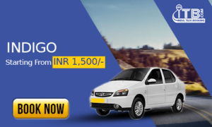 INDIGO Taxi package