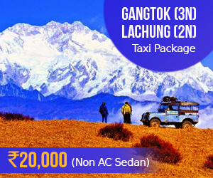 Gangok taxi package
